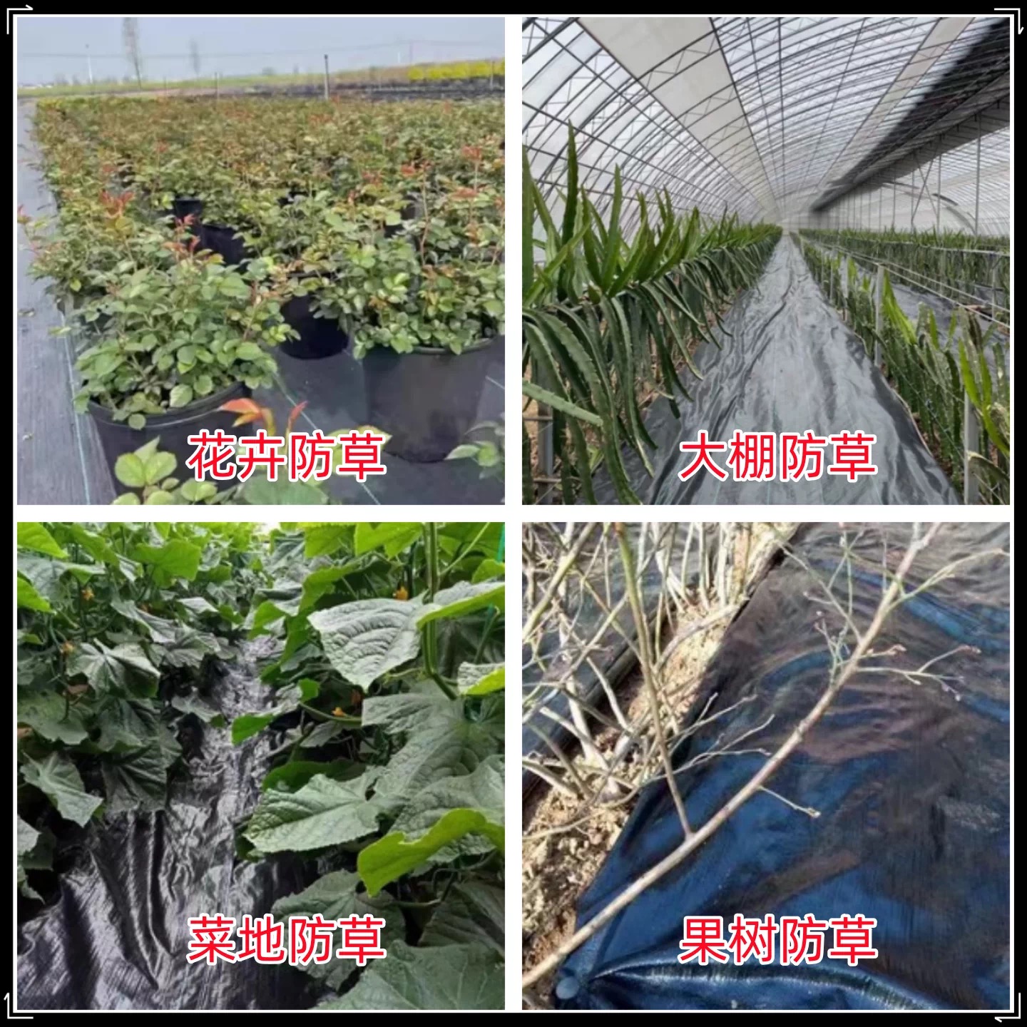 岳阳市货车苫盖膜防草布 - 一站式服务