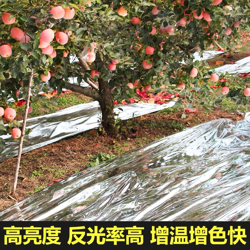 岳阳市黑白养殖膜果树反光膜 - 排名